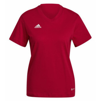 adidas  T-Shirt T-Shirt für Damen in unifarben günstig online kaufen