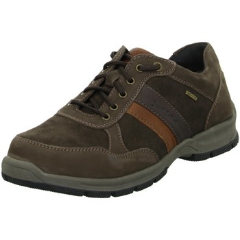 Josef Seibel  Halbschuhe Schnuerschuhe Schnürhalbschuh Lenny 51 14951 TE21 günstig online kaufen