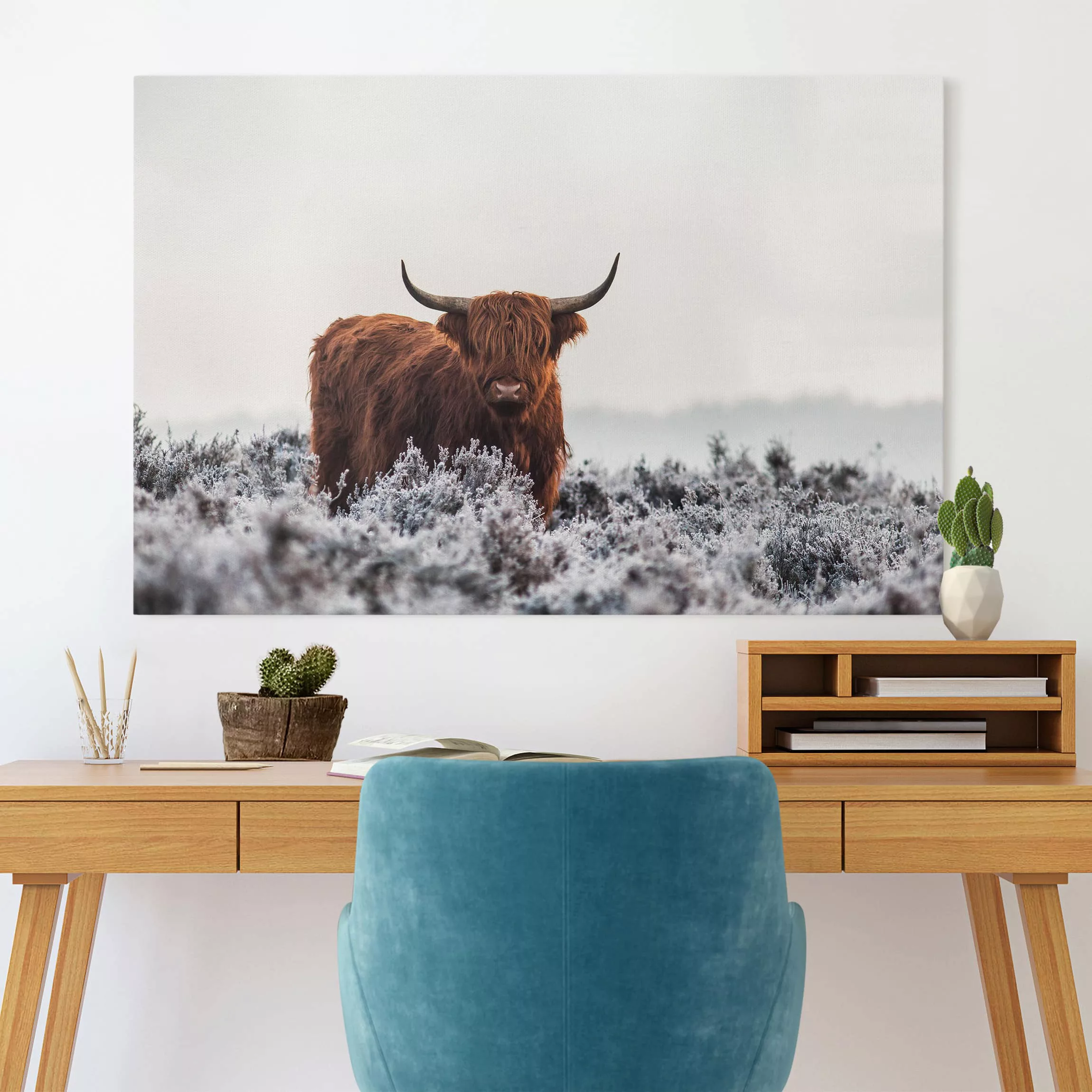 Leinwandbild Tiere - Querformat Bison in den Highlands günstig online kaufen