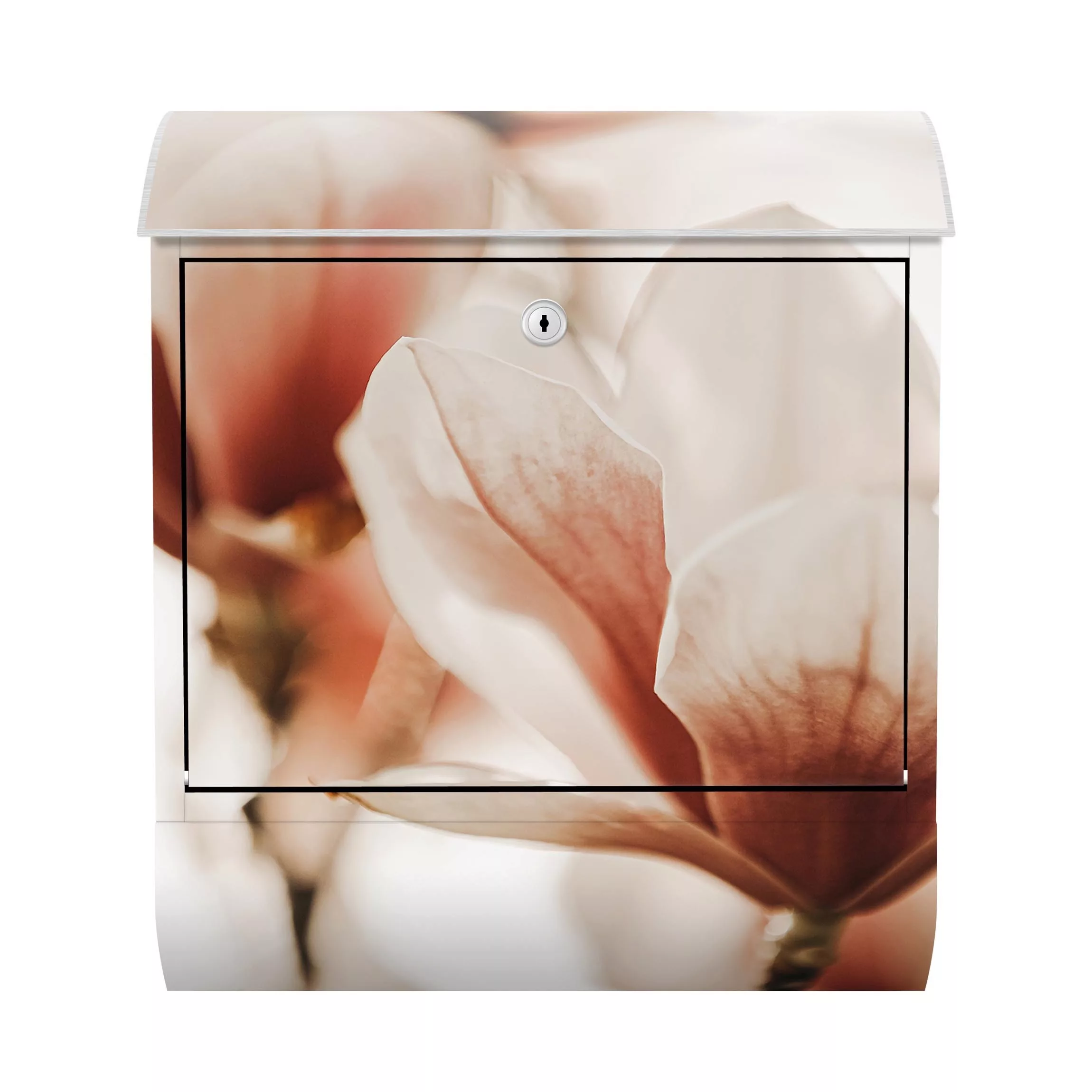 Briefkasten Blumen Zarte Magnolienblüten im Lichtspiel günstig online kaufen