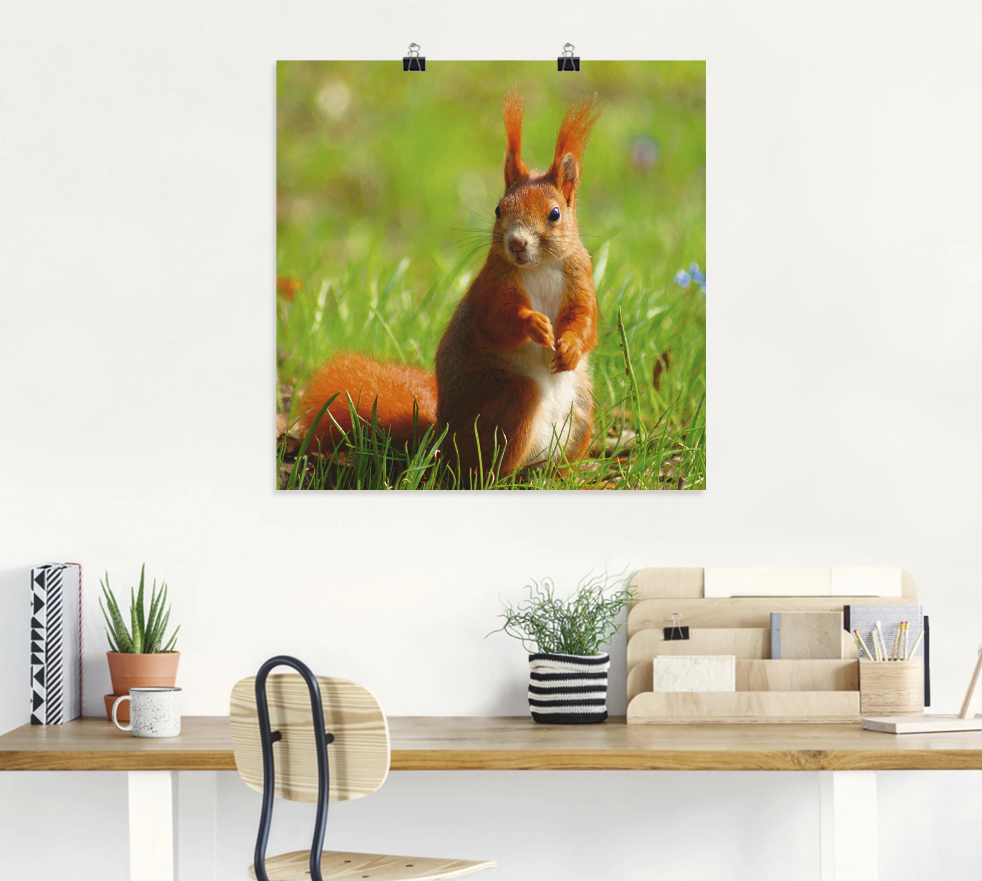 Artland Poster »Eichhörnchen Kontakt«, Wildtiere, (1 St.), als Leinwandbild günstig online kaufen