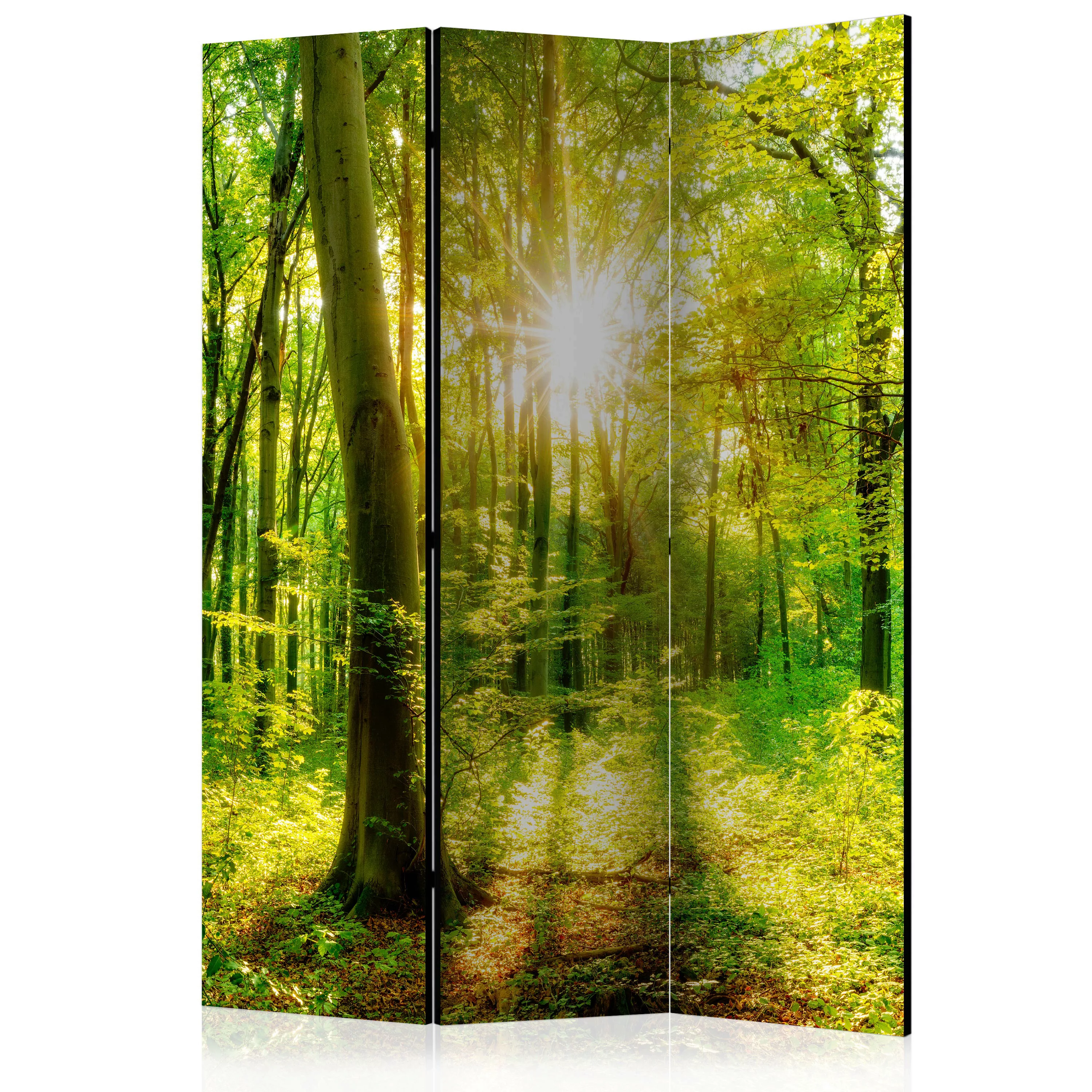 3-teiliges Paravent - Forest Rays [room Dividers] günstig online kaufen