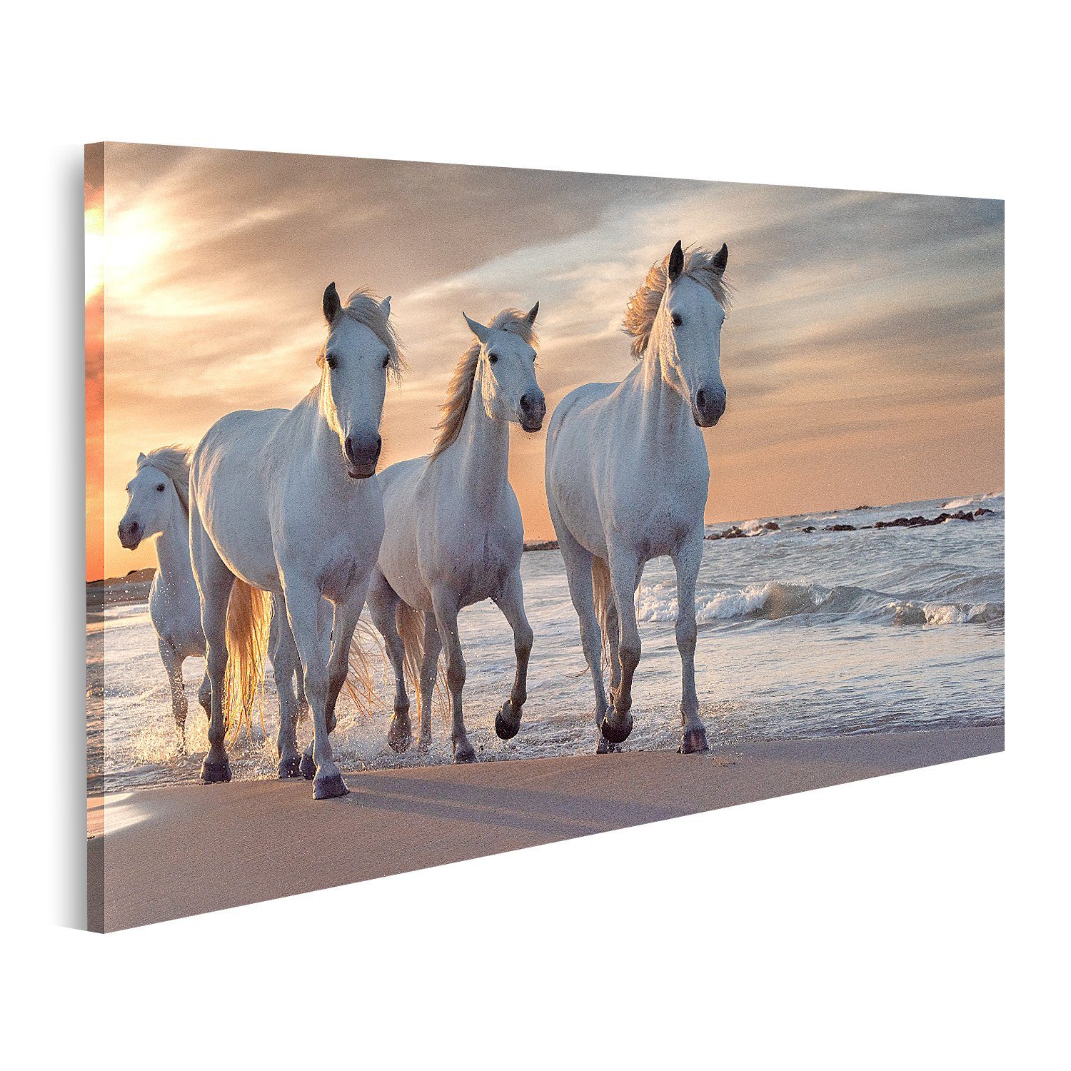 islandburner Leinwandbild Bild auf Leinwand Weiße günstig online kaufen