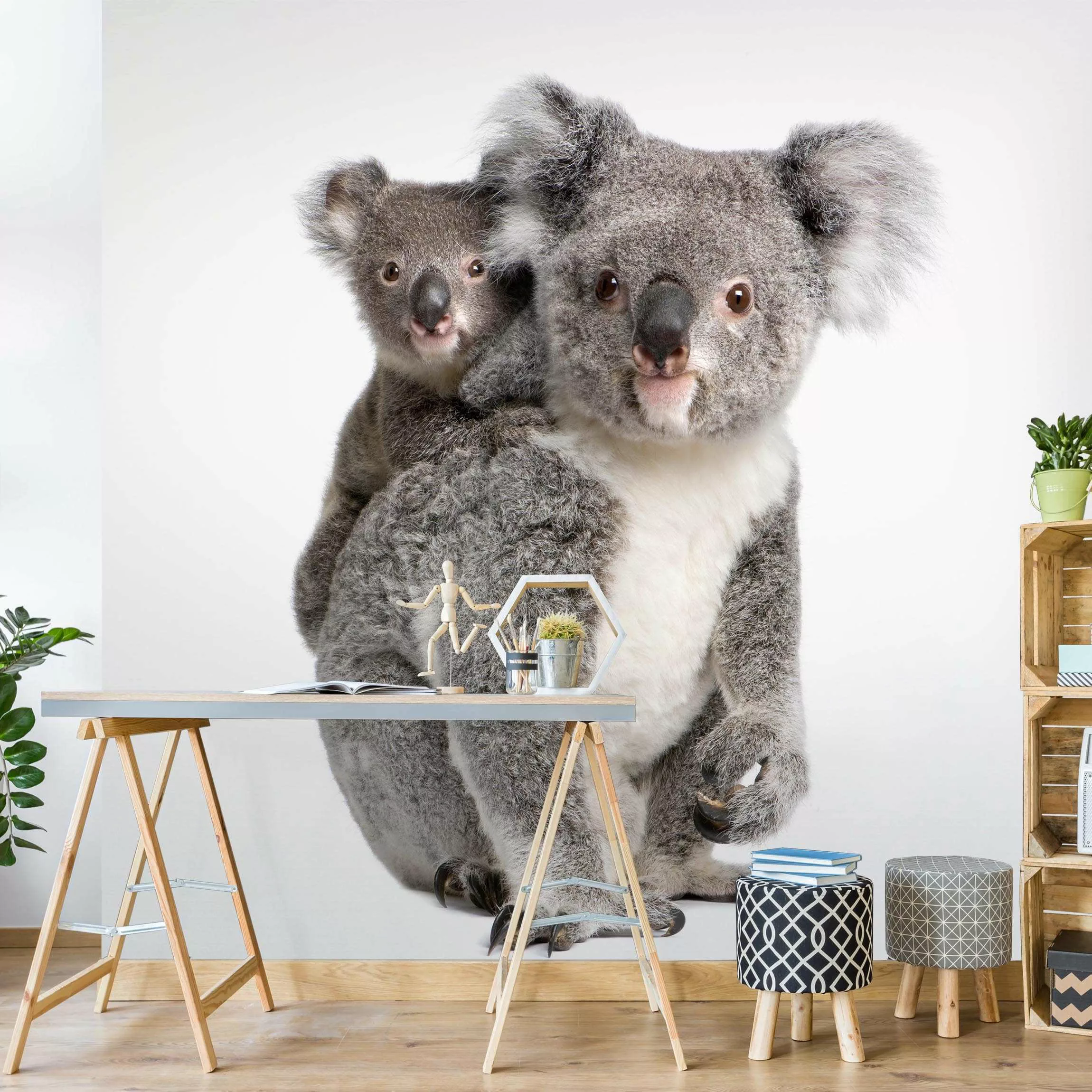Bilderwelten Kindertapete Koalabären grau Gr. 192 x 192 günstig online kaufen