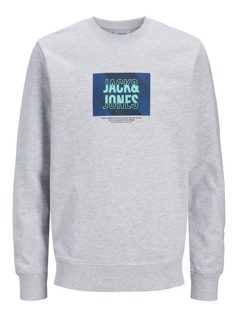 Jack & Jones Sweatshirt JJHUDSON SWEAT CREW NECK günstig online kaufen