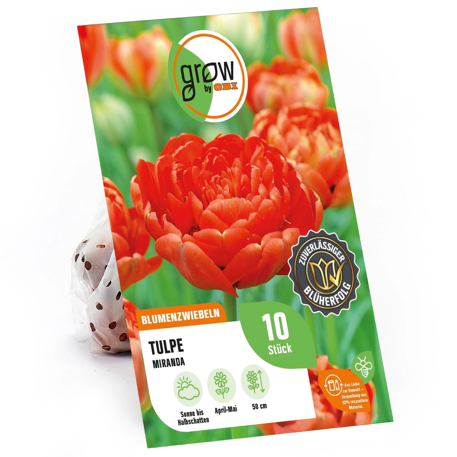 GROW by OBI Pfingstrosen-Tulpe Miranda Rot 50 cm Tulipa günstig online kaufen