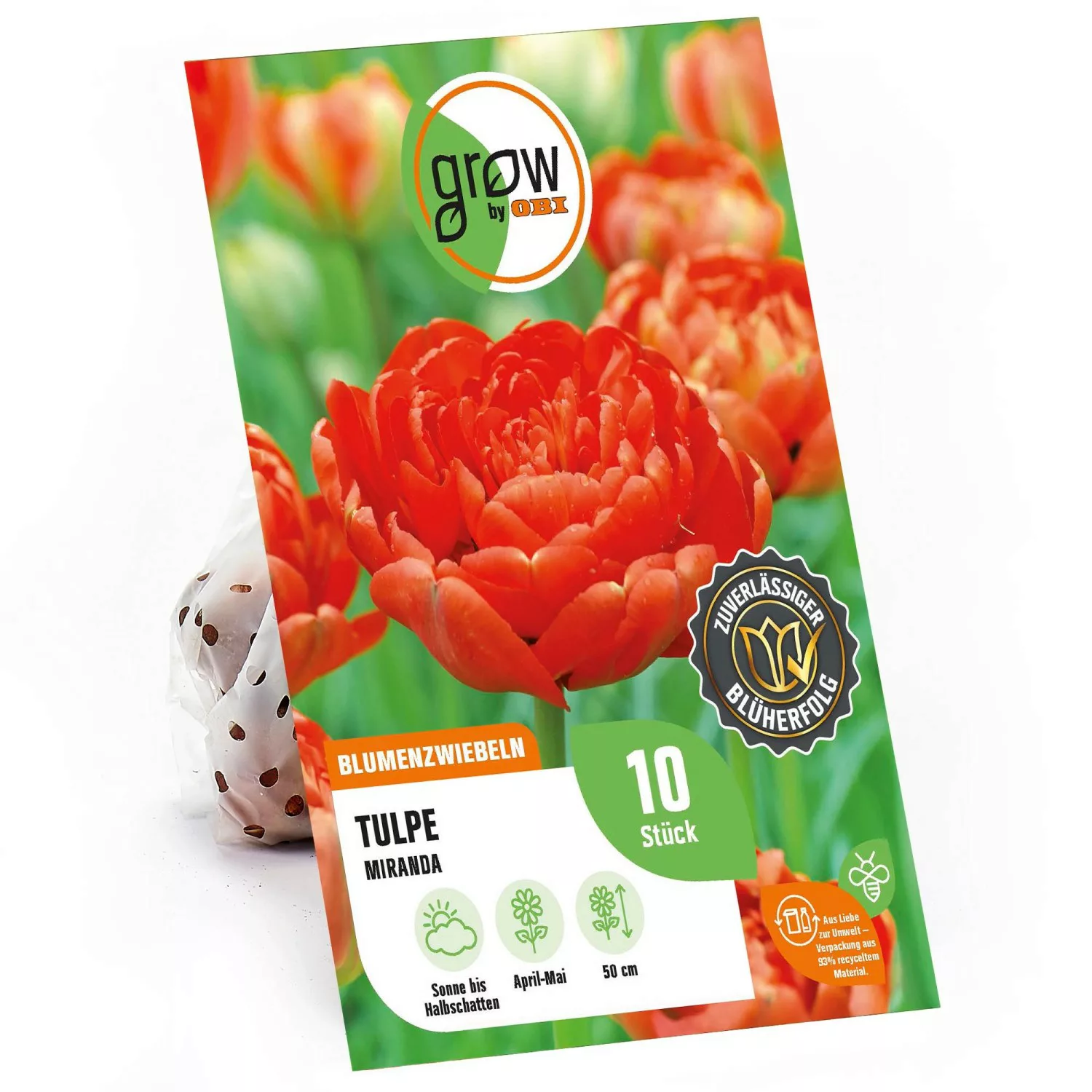 GROW by OBI Pfingstrosen-Tulpe Miranda Rot 50 cm Tulipa günstig online kaufen