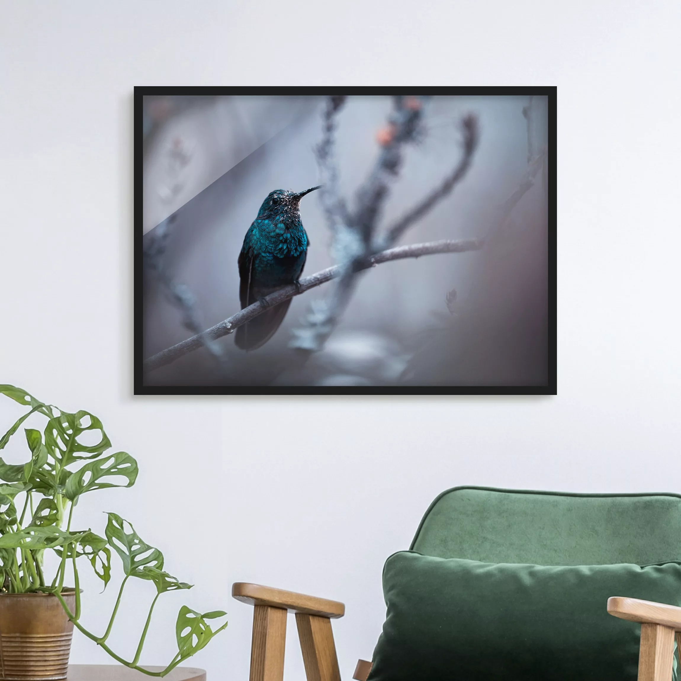 Bild mit Rahmen Tiere - Querformat Kolibri im Winter günstig online kaufen
