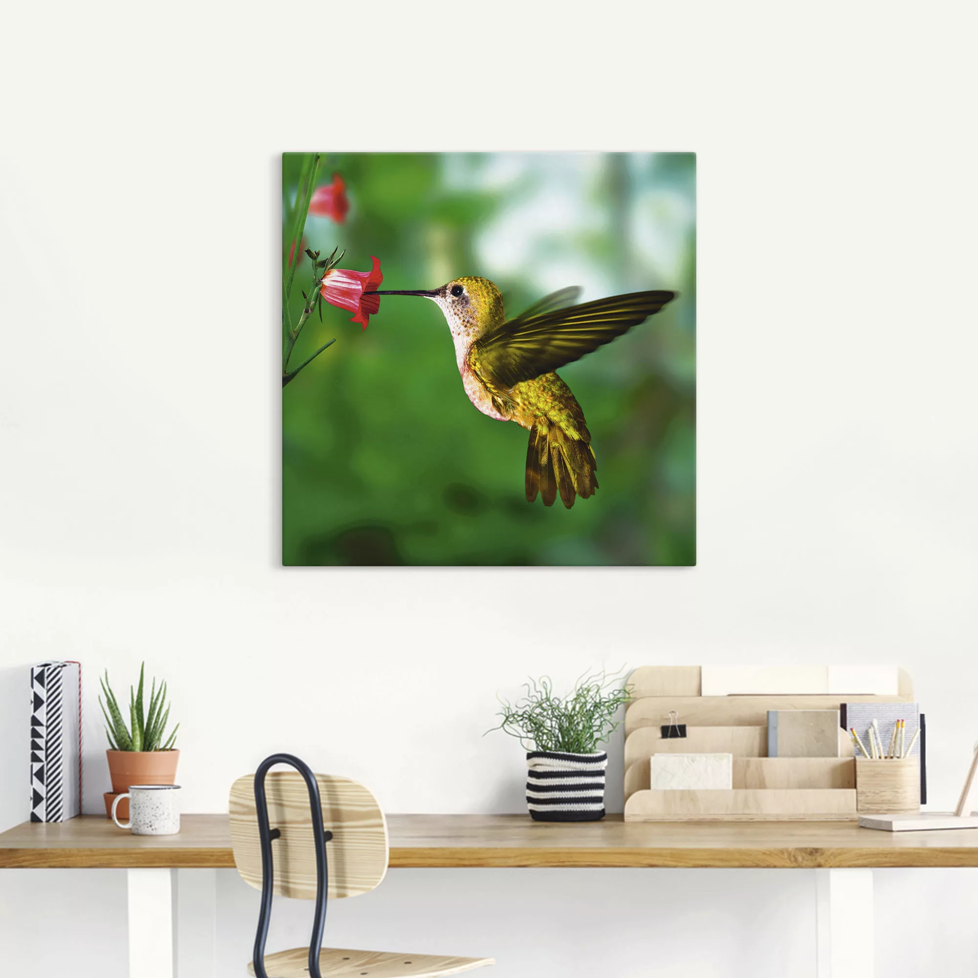 Artland Wandbild »Kolibri«, Vögel, (1 St.) günstig online kaufen