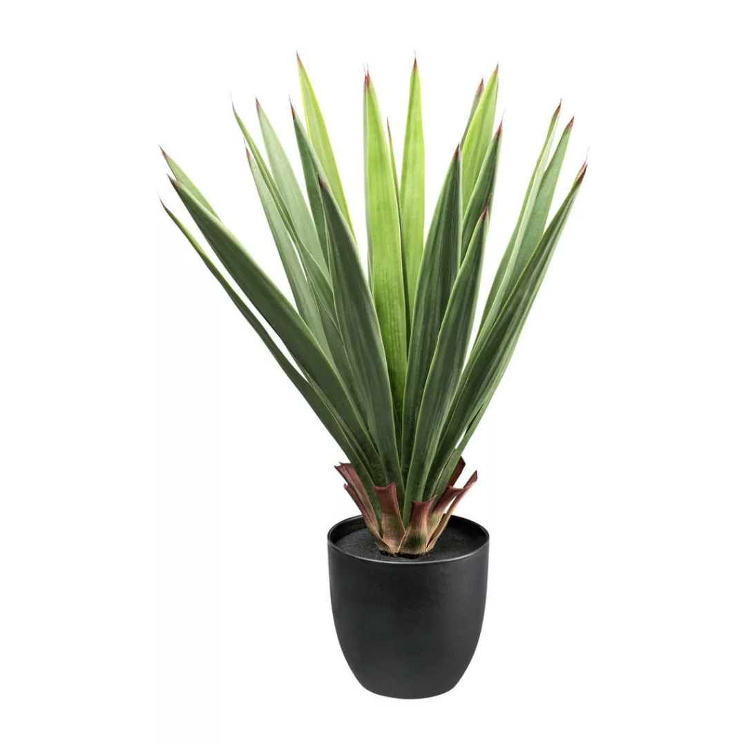 Kunstpflanze Dracaena grün Kunststoff B/H/L: ca. 20x68x20 cm günstig online kaufen