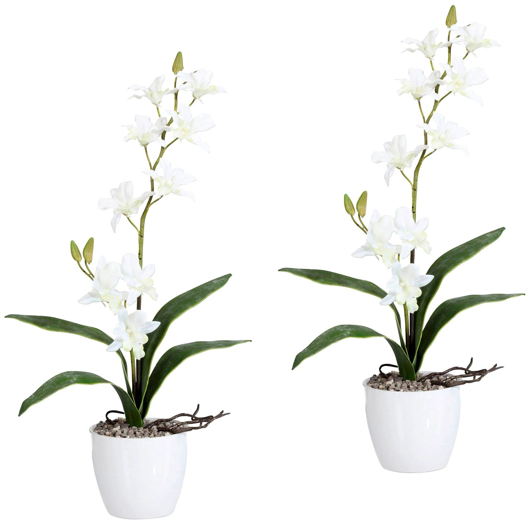 Creativ green Kunstpflanze "Orchidee Dendrobie", im Keramiktopf günstig online kaufen