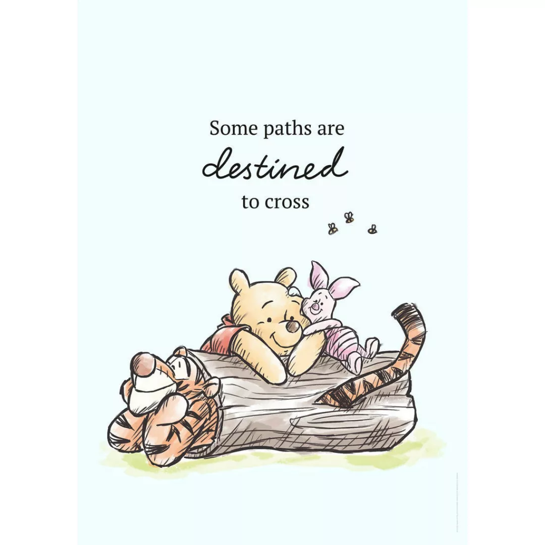 Komar Wandbild Winnie Pooh Path Disney B/L: ca. 50x70 cm günstig online kaufen