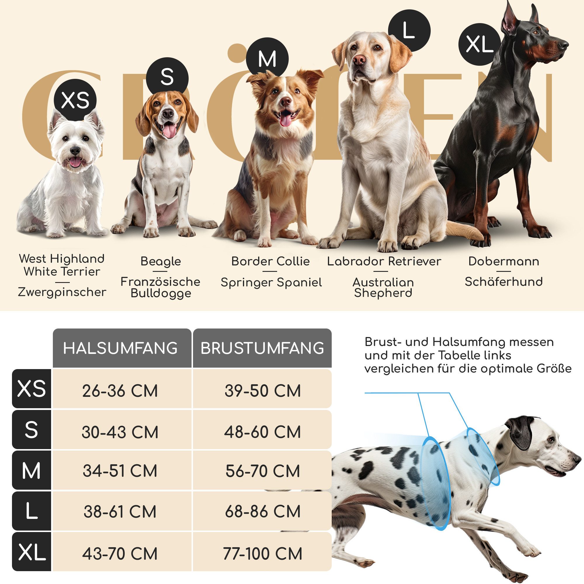 Freudentier Hunde-Geschirr mit atmungsaktiver Mesh-Polsterung, perfekter günstig online kaufen