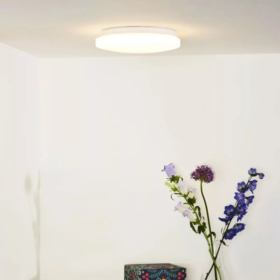 LED Deckenleuchte Otis in weiß, rund, 260mm günstig online kaufen