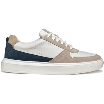 Geox  Sneaker Sneaker günstig online kaufen