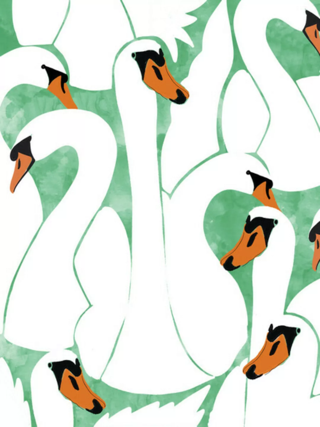 Poster / Leinwandbild - White Calm Was Born Into A Swan günstig online kaufen