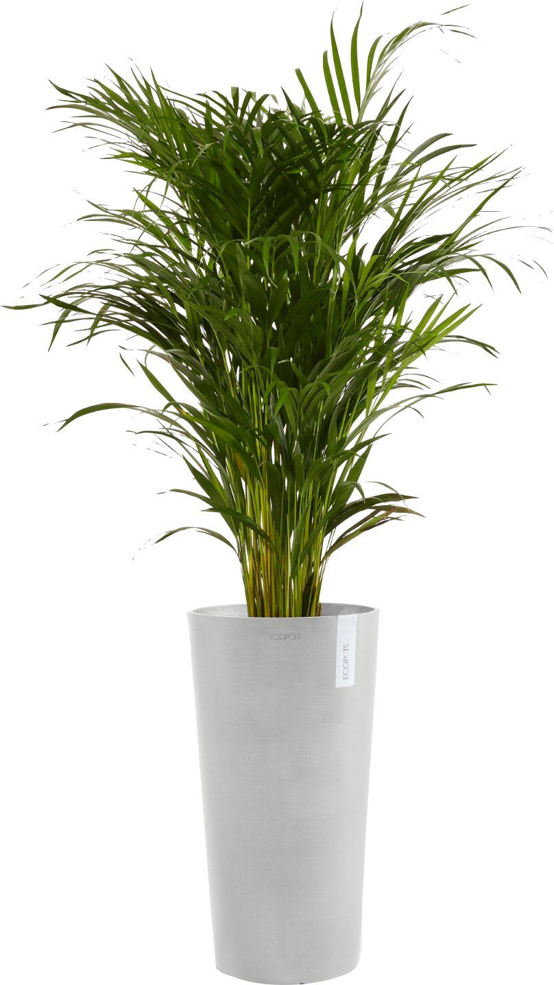 ECOPOTS Blumentopf AMSTERDAM HIGH White Grey, günstig online kaufen