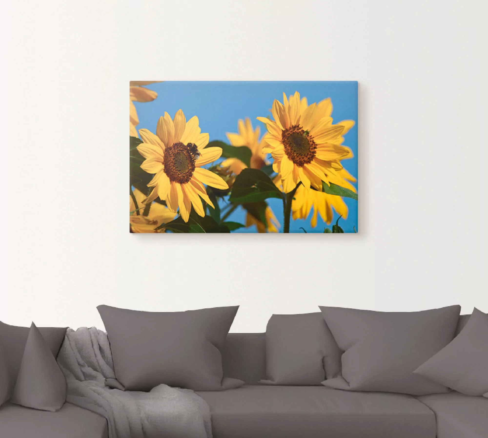 Artland Leinwandbild "Sonnenblumen", Blumen, (1 St.) günstig online kaufen