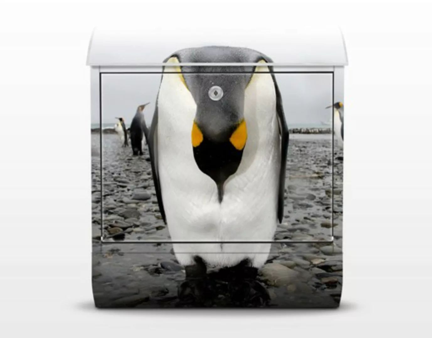 Briefkasten Tiere Pinguin günstig online kaufen