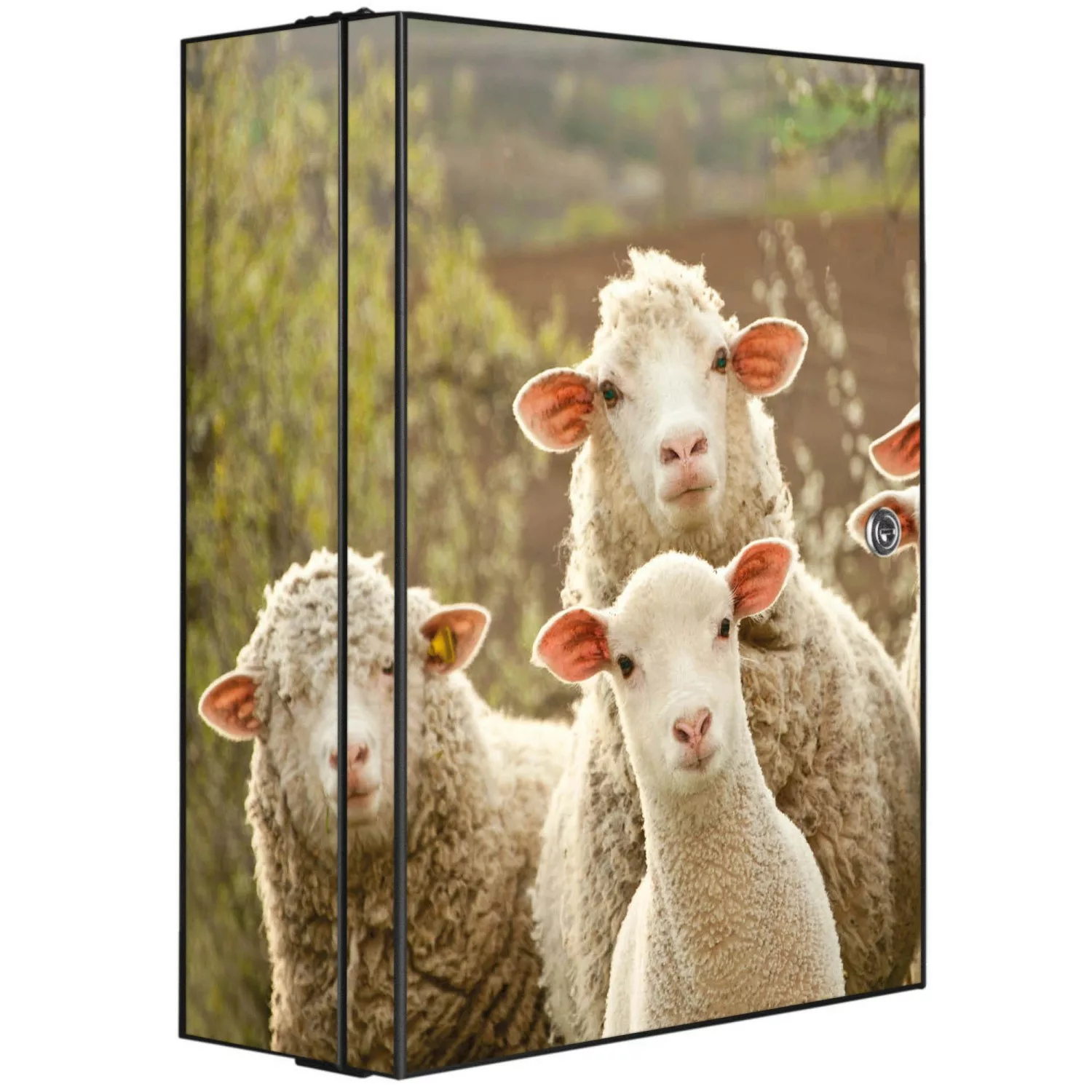 Banjado XXL Medizinschrank Abschliessbar 35x46x15cm Arzneischrank Anthrazit günstig online kaufen