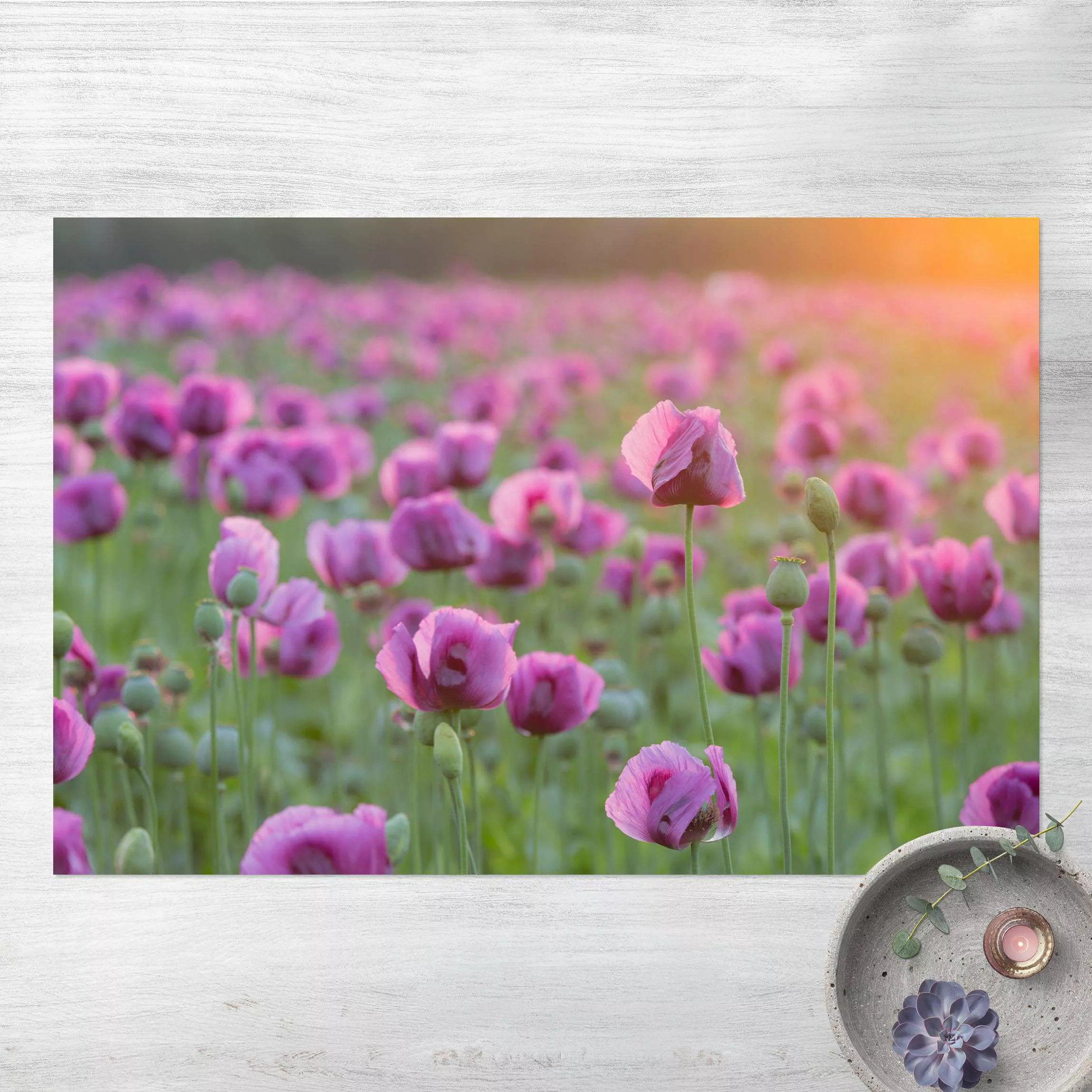 Vinyl-Teppich Violette Schlafmohn Blumenwiese im Frühling günstig online kaufen