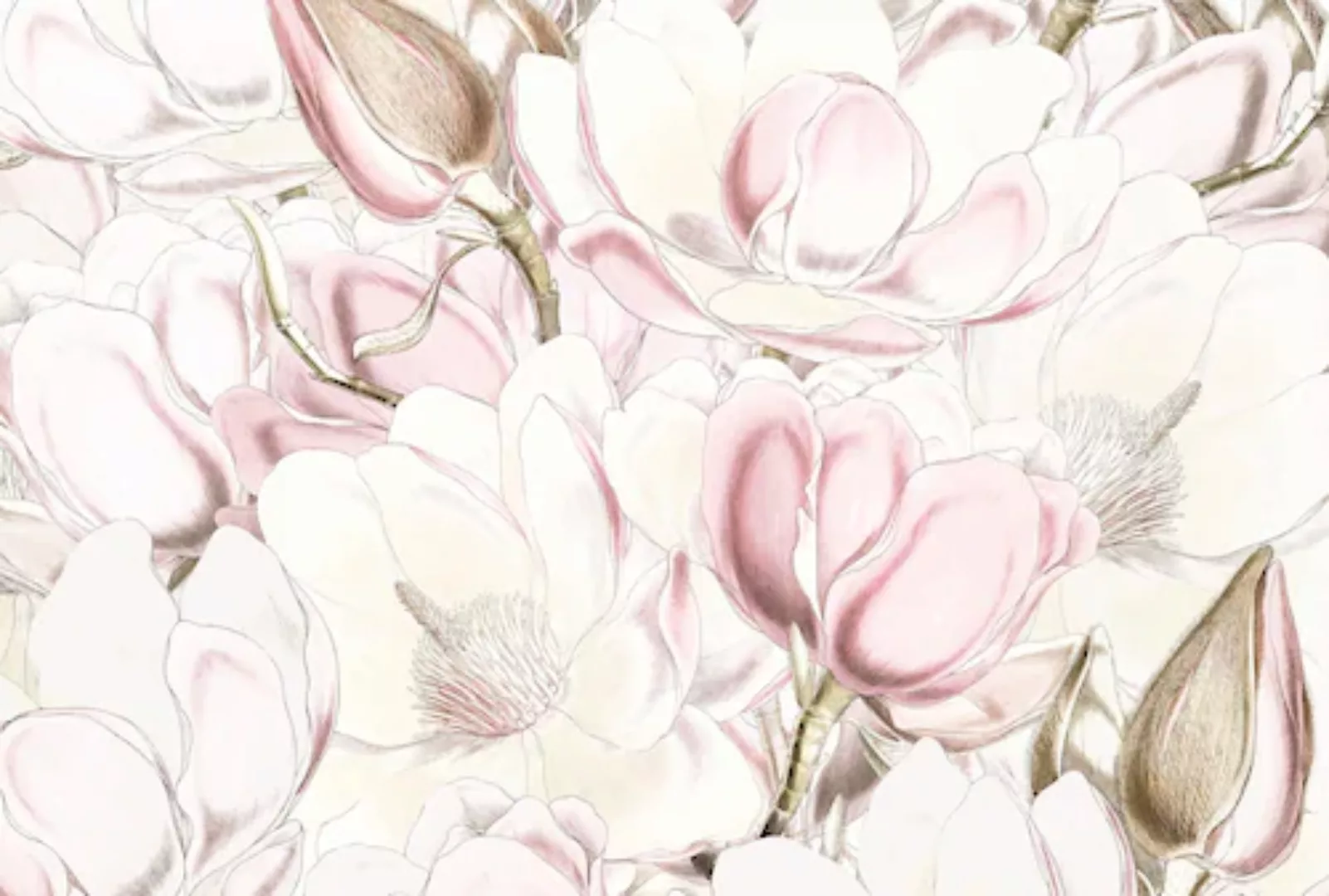 KOMAR Vlies Fototapete - Petals - Größe 368 x 248 cm mehrfarbig günstig online kaufen