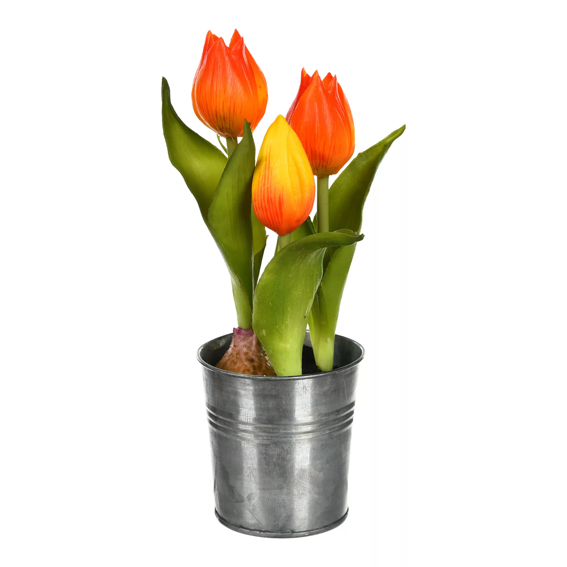 Tulpe im Zinktopf ca.20cm, orange günstig online kaufen