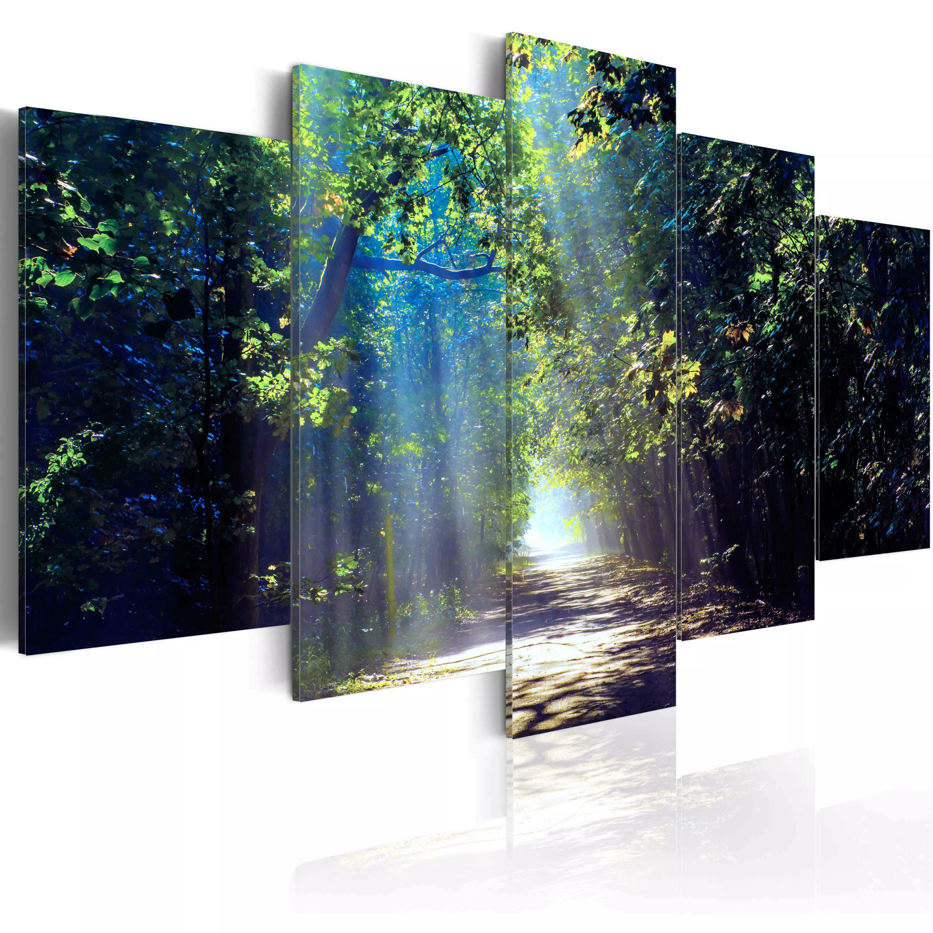 Wandbild - Sunny Forest Path günstig online kaufen