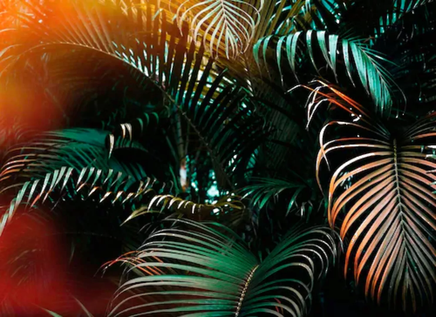 Fototapete "Jungle colour" 3,50x2,55 m / Glattvlies Profi günstig online kaufen