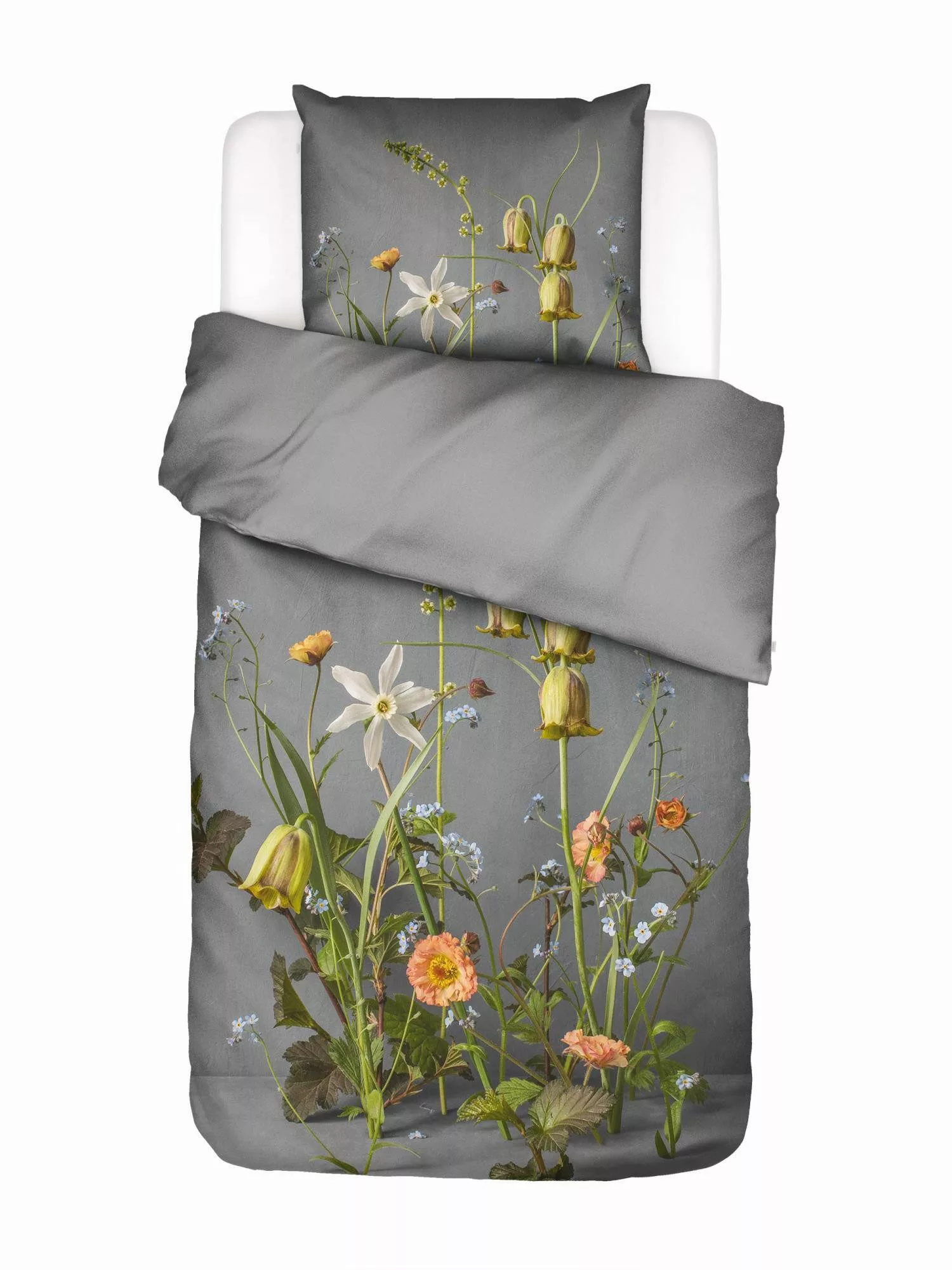 Essenza Bettwäsche Ficaria, Satin, 2 teilig, günstig online kaufen