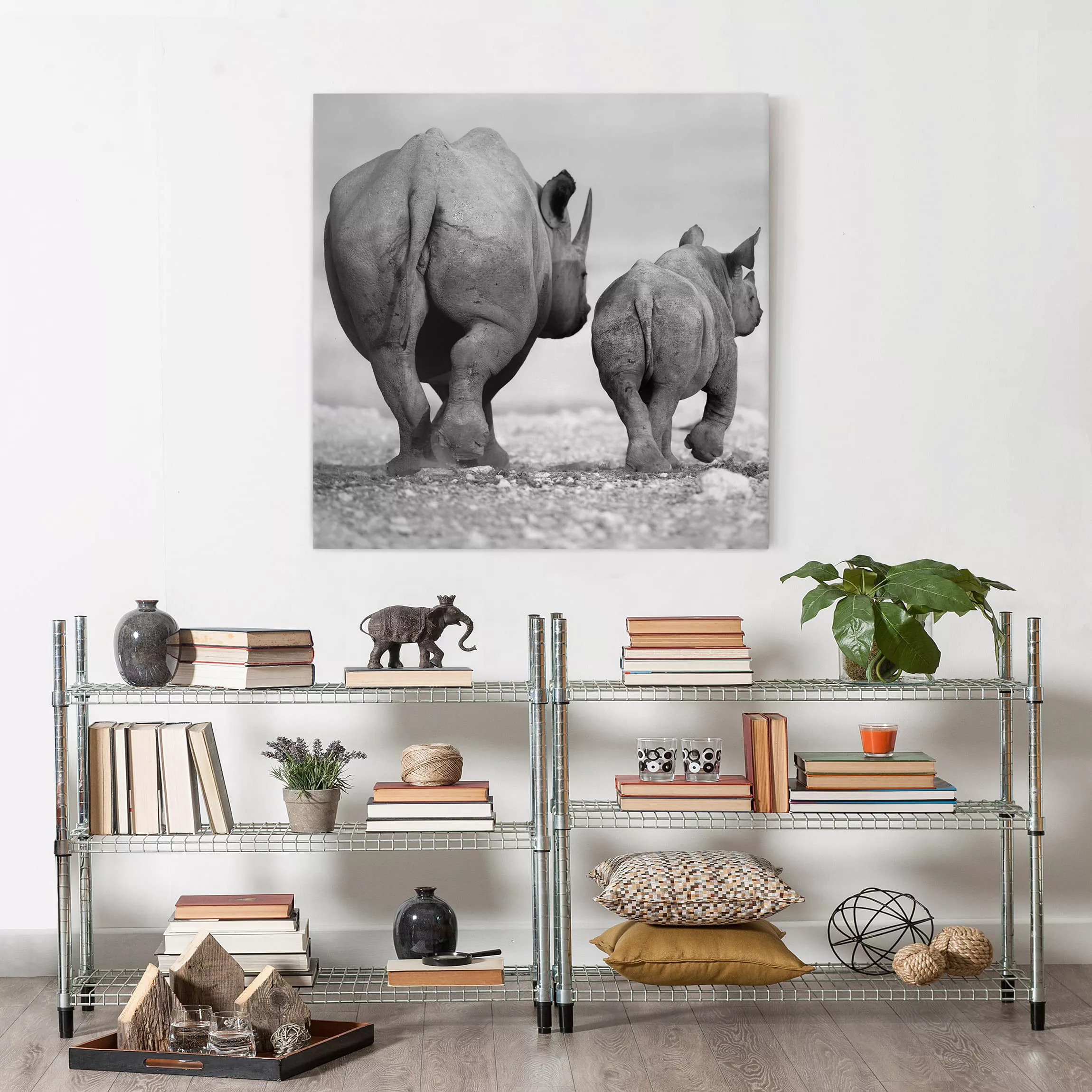 Leinwandbild Tiere - Quadrat Wandering Rhinos II günstig online kaufen