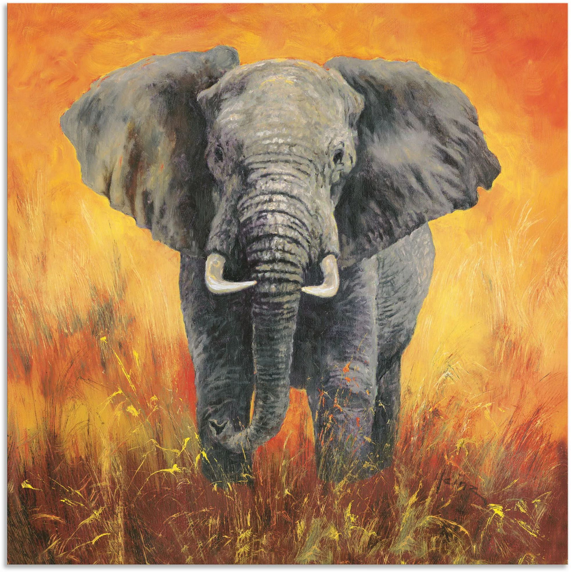 Artland Wandbild "Porträt Elefant", Elefanten Bilder, (1 St.), als Alubild, günstig online kaufen