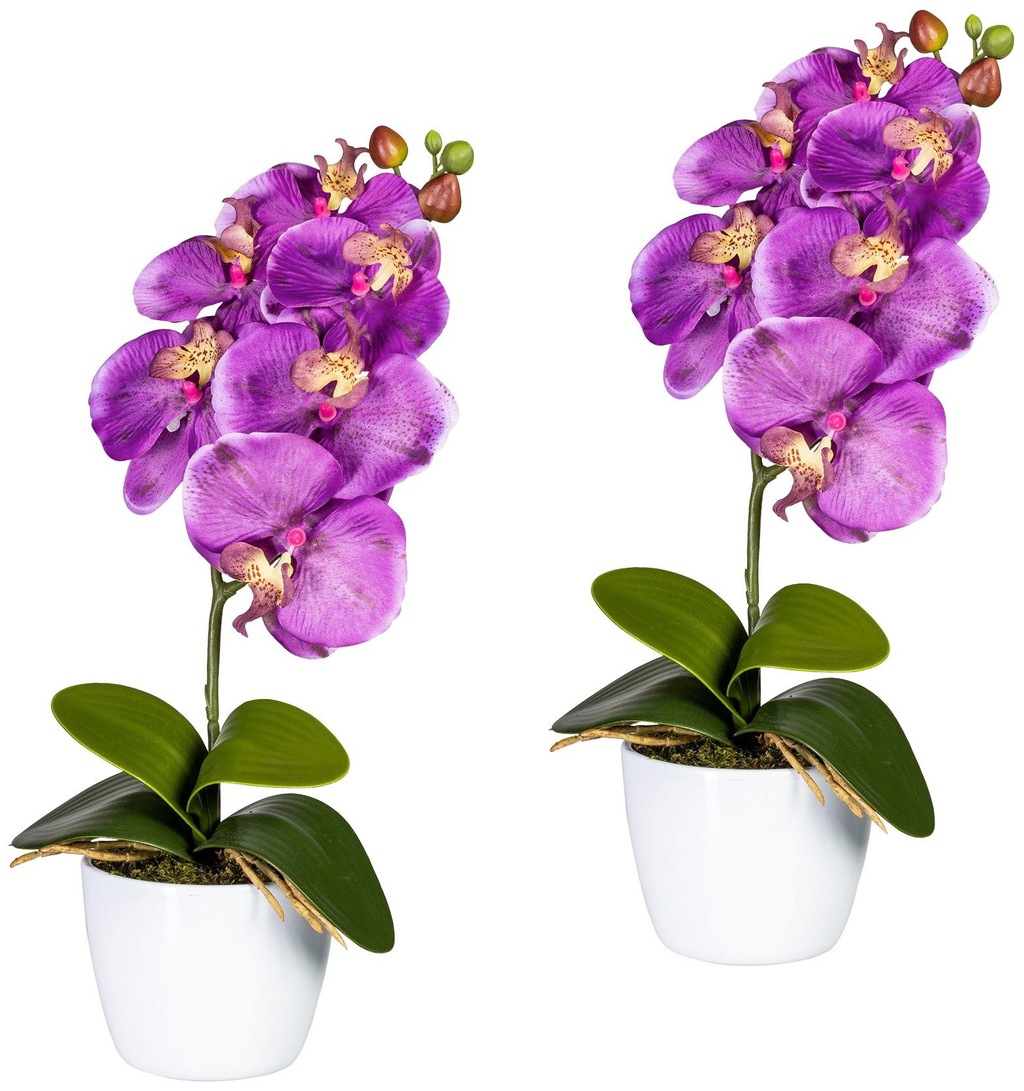 Creativ green Kunstpflanze "Orchidee Phalaenopsis", im Keramiktopf günstig online kaufen