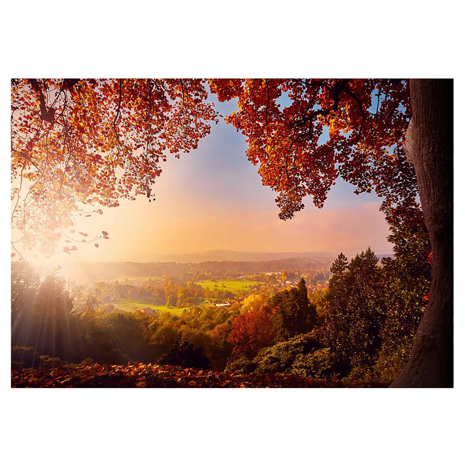 home24 Vlies Fototapete Autumn Delight günstig online kaufen