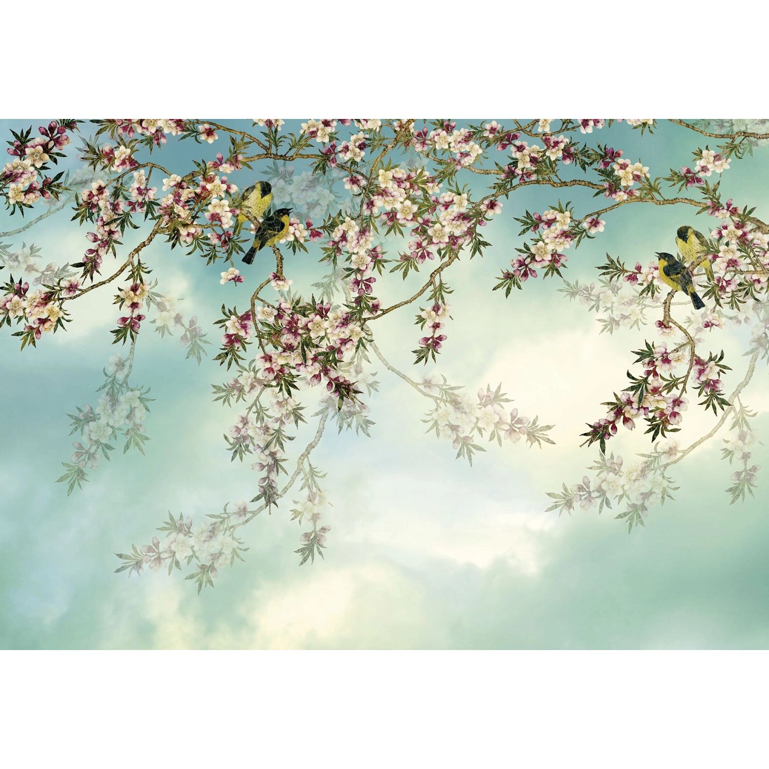 Komar Fototapete Sakura Blau und Rosa 368 x 254 cm 610936 günstig online kaufen