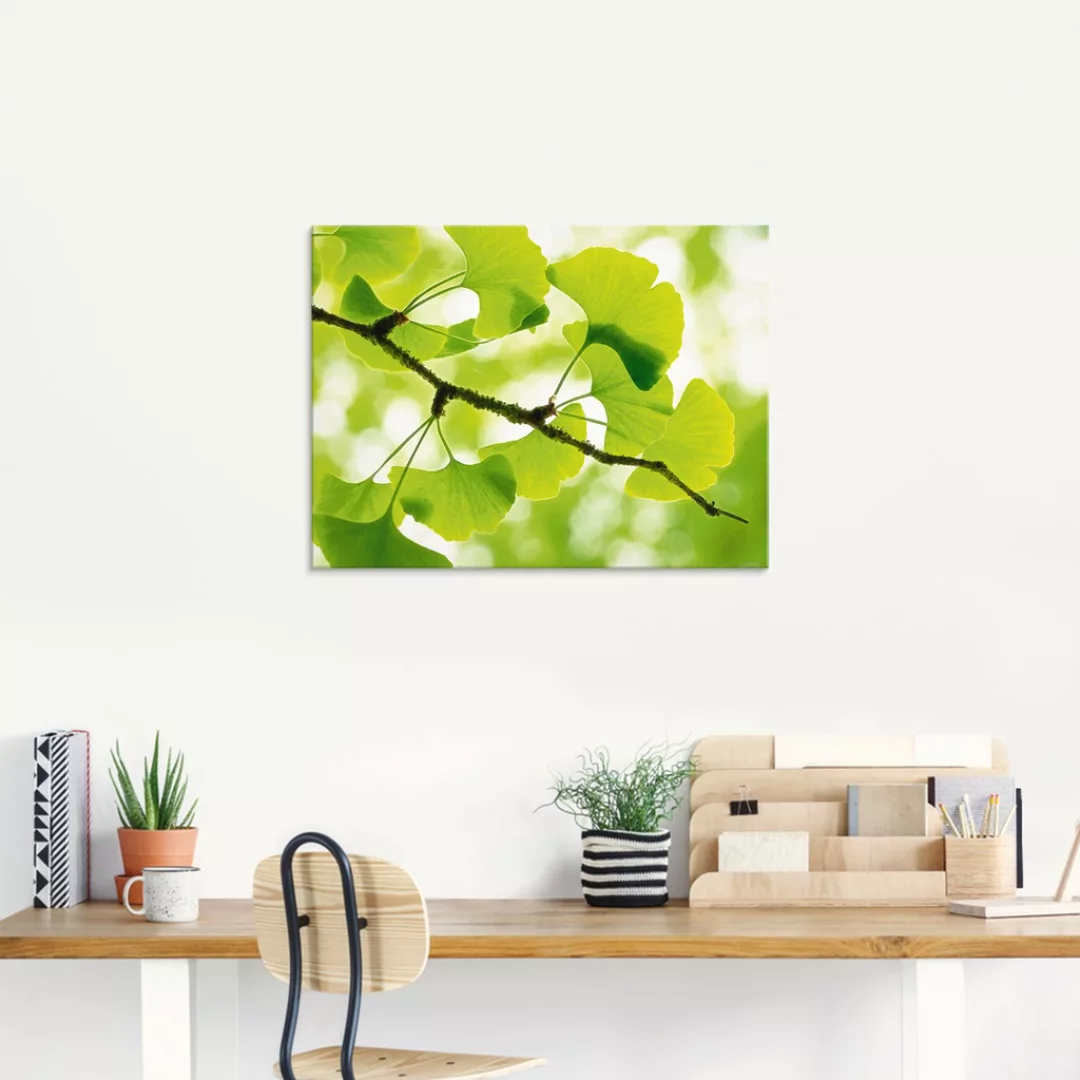 Artland Glasbild "Ginkgo", Blätter, (1 St.) günstig online kaufen