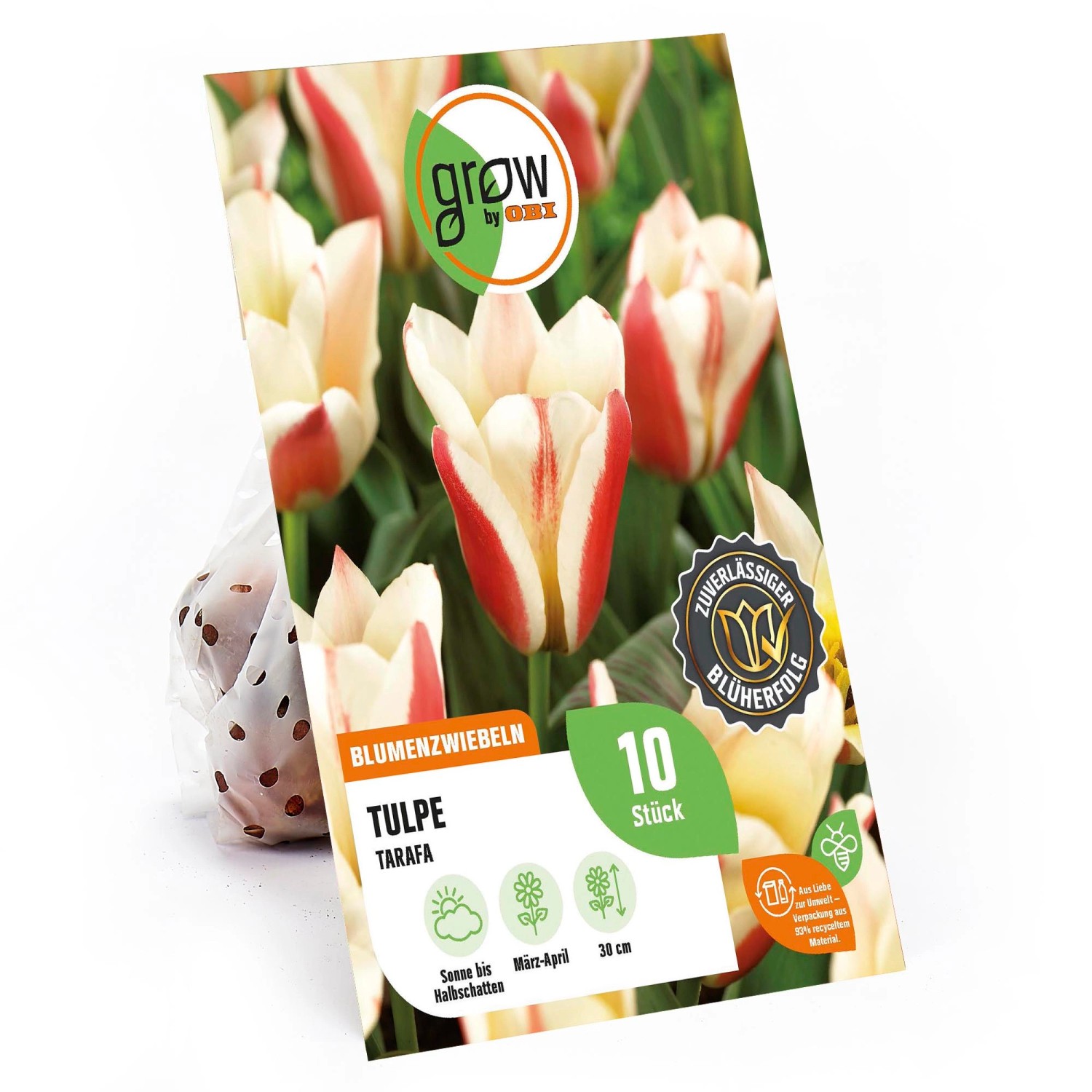 GROW by OBI Greig-Tulpe Tarafa Rot-Weiß 30 cm Tulipa greigii günstig online kaufen