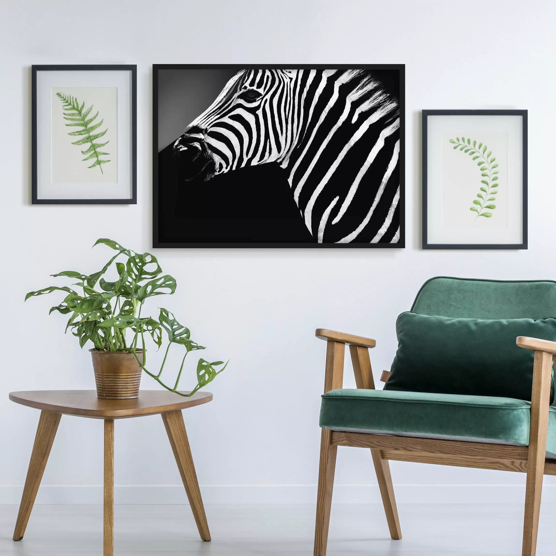 Bild mit Rahmen Tiere - Querformat Zebra Safari Art günstig online kaufen