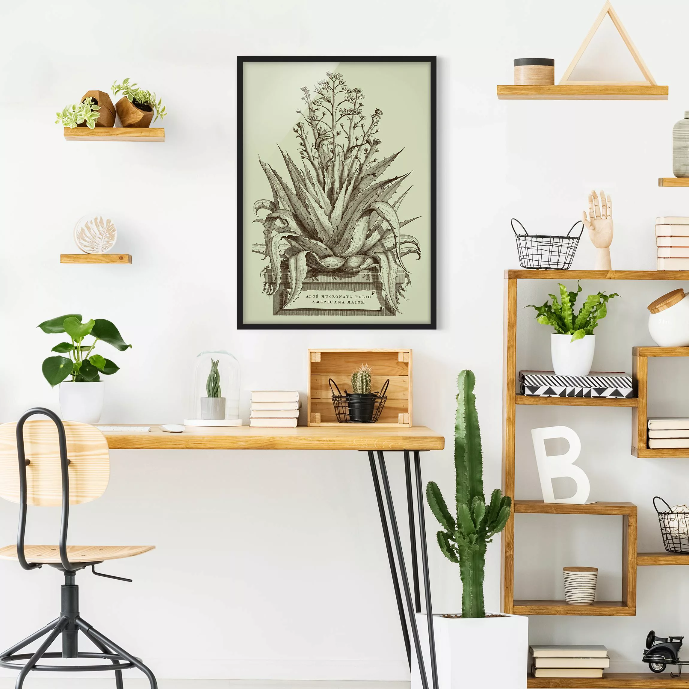 Bild mit Rahmen Blumen - Hochformat Vintage Aloe Vera Americana Major günstig online kaufen