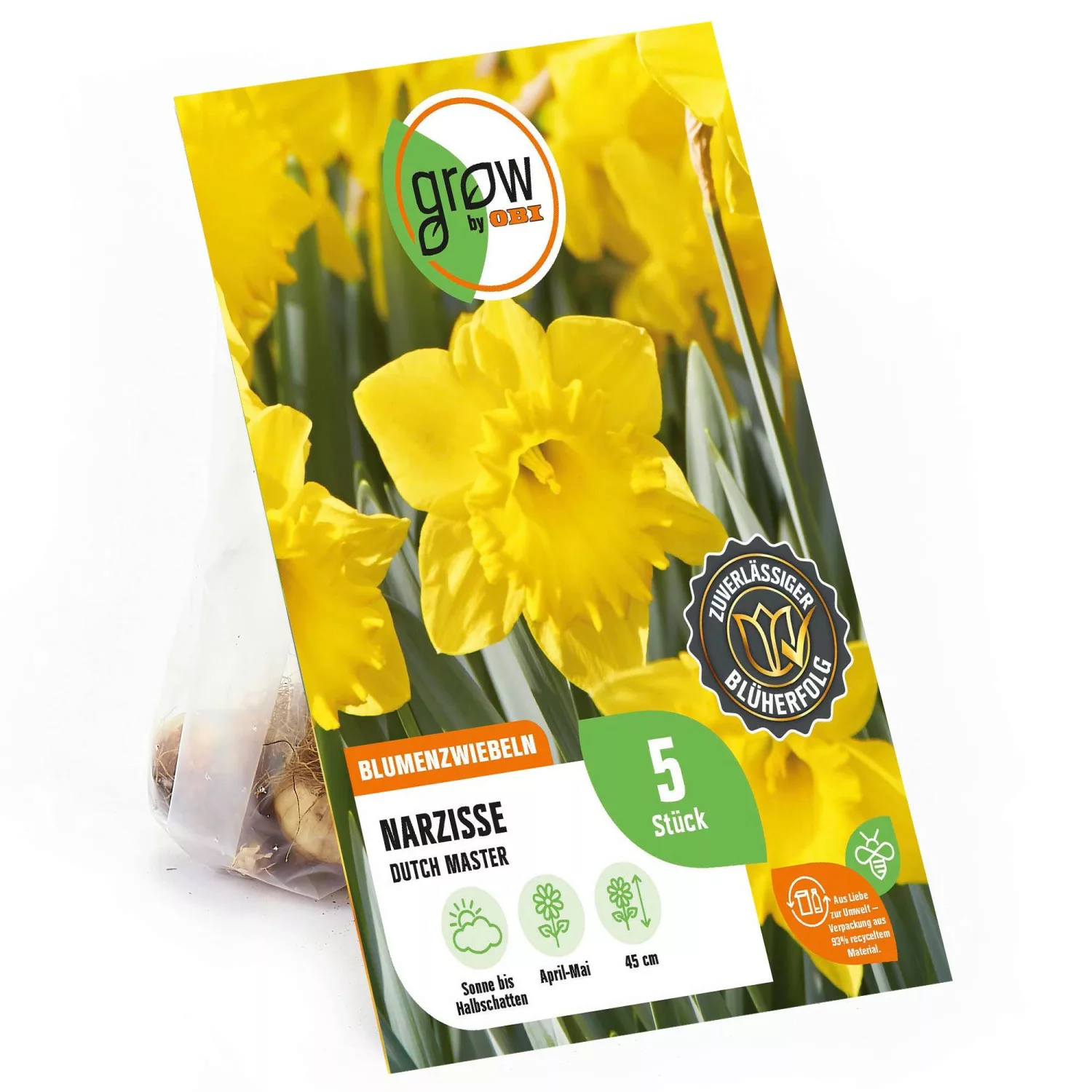 GROW by OBI Großkronige Narzisse Dutch Master Gelb 45 cm Narcissus günstig online kaufen