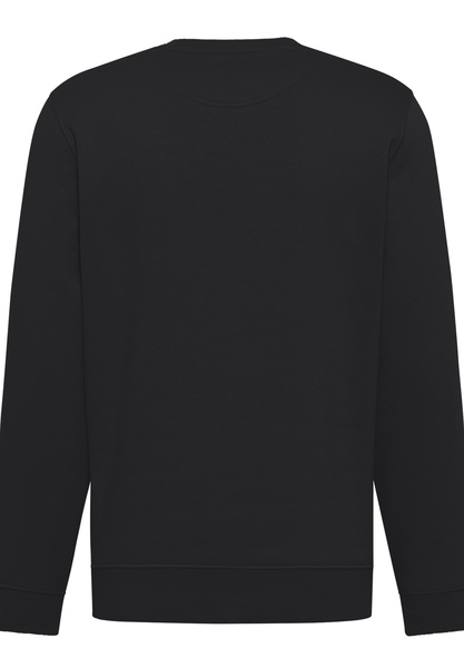 Langarm-sweatshirt "Resolve" günstig online kaufen