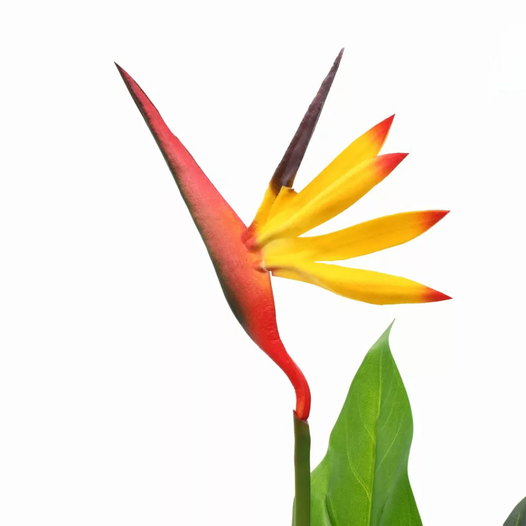 Künstliche Strelitzia Reginae Paradiesvogelblume 66 Cm günstig online kaufen