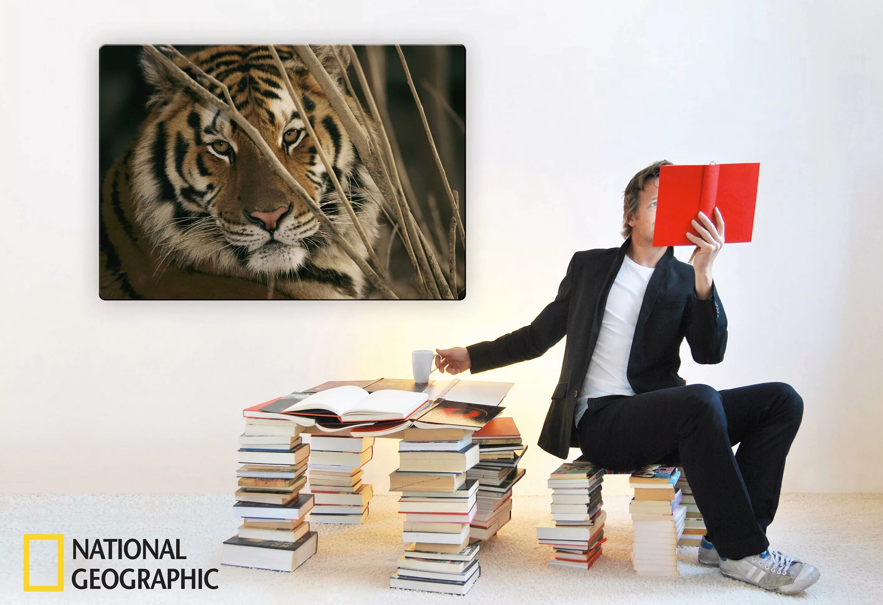 Wall-Art Glasbild "Tiger" günstig online kaufen