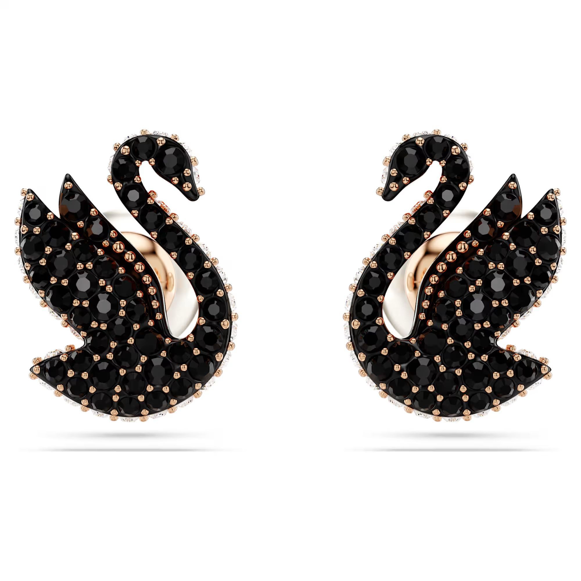 Swarovski Paar Ohrstecker Swarovski Iconic Swan, günstig online kaufen
