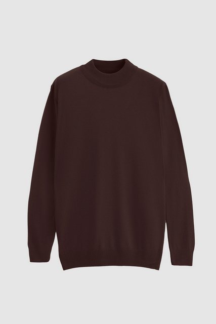 D'S DAMAT Polokragenpullover Ds Damat – Rollkragenpullover aus leichter Bau günstig online kaufen