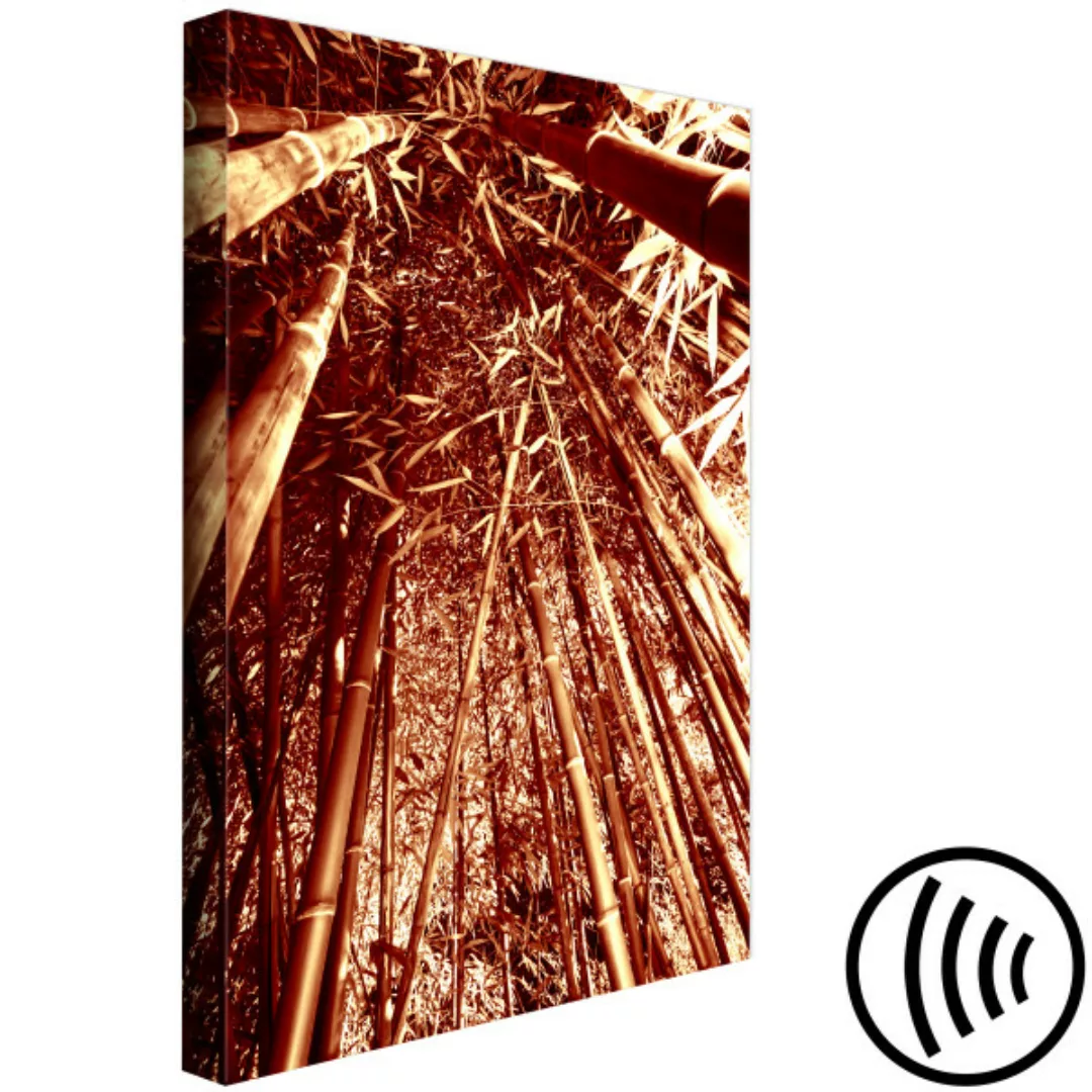 Bild auf Leinwand Bambuswald in Sepia - Foto von exotischer Natur mit Bäume günstig online kaufen