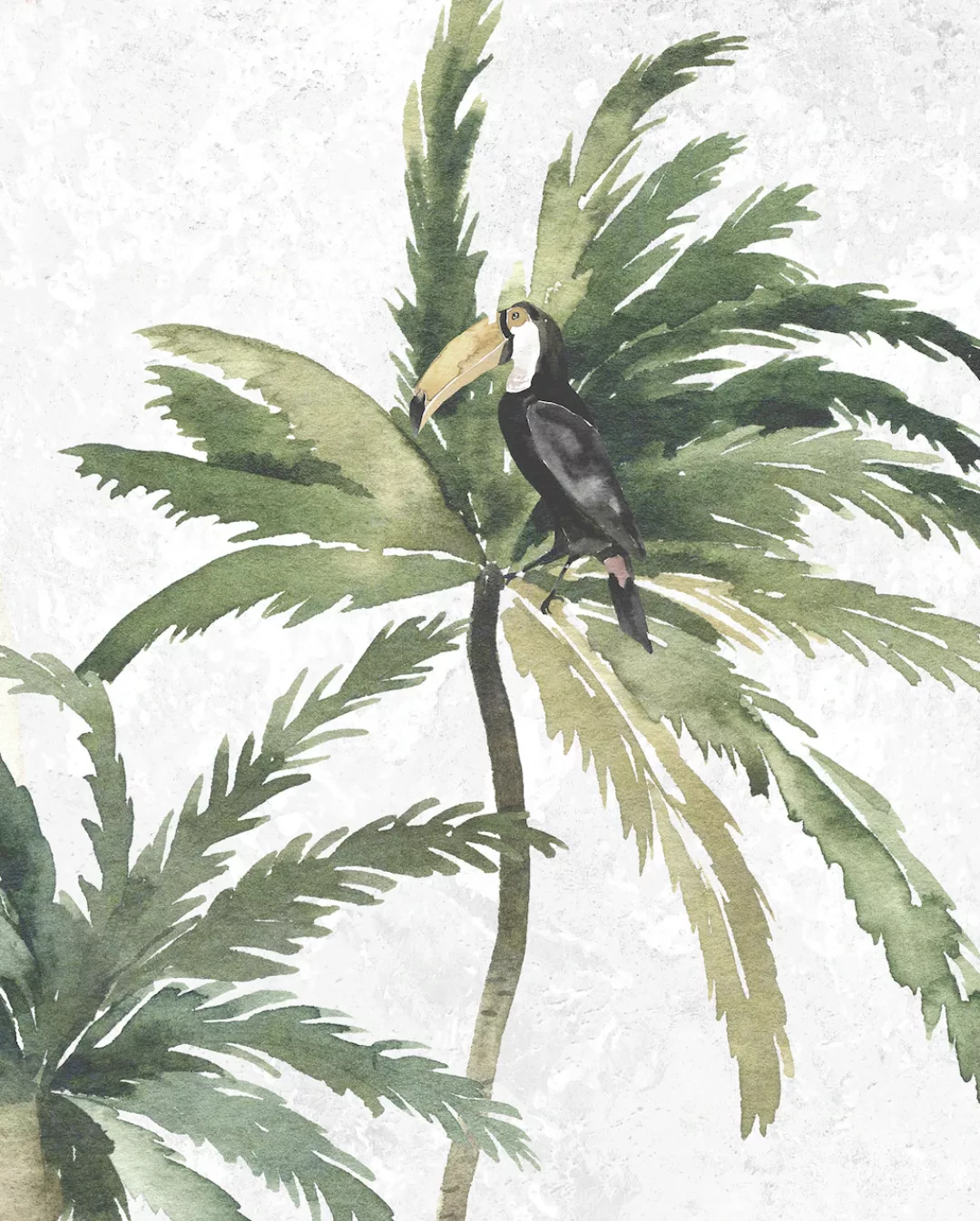 Komar Poster "Tropical Toucan", (1 St.) günstig online kaufen