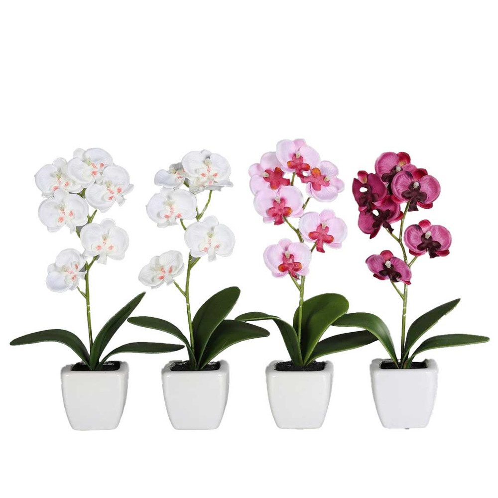 Kunstblume Kunstblume - Orchidee - im günstig online kaufen