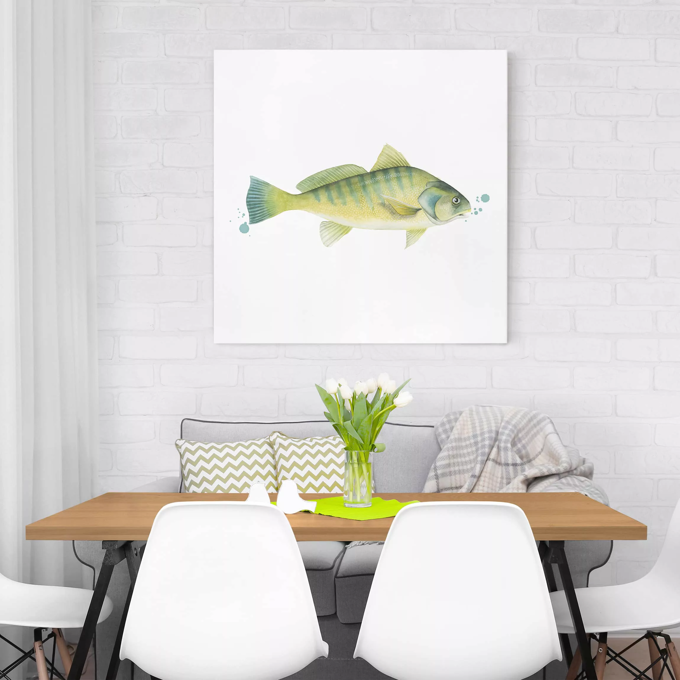 Leinwandbild Tiere - Quadrat Farbfang - Flussbarsch günstig online kaufen