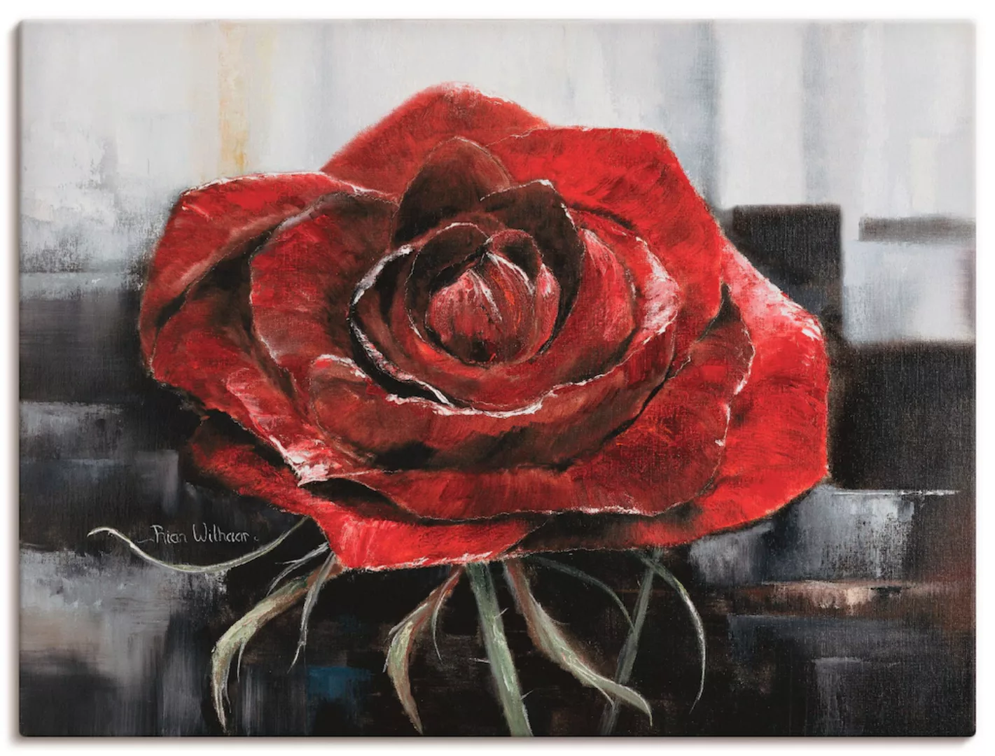 Artland Wandbild "Blühende rote Rose", Blumen, (1 St.), als Leinwandbild, P günstig online kaufen